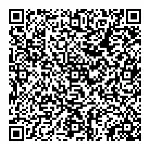 QR Code 3